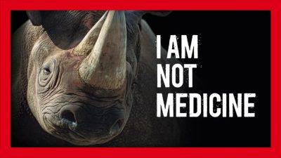 A rhino horn is not medicine, contrary to popular belief. Hunting animals to extinction is a form of animal cruelty.