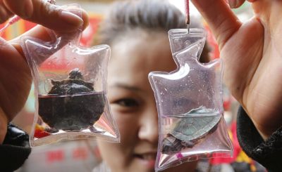 When the Animals Testify (Against Animal Cruelty)-animal-keychains