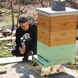 To Bee or Not To Bee; Benefits of Beekeeping, with Osama Idlibi